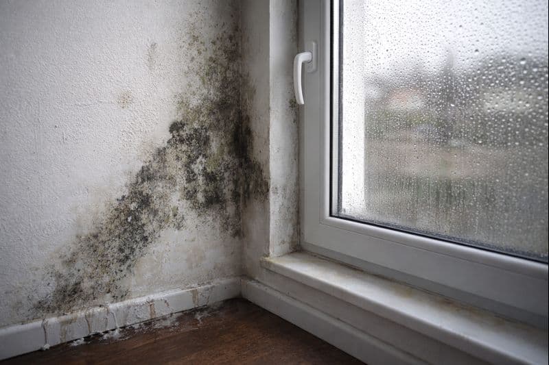 Dlaczego po wymianie okien pojawia się wilgoć na ścianach i pleśń przy narożnikach