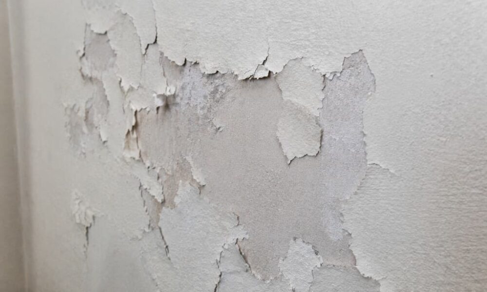 Dlaczego farba odchodzi od ściany mimo gruntowania