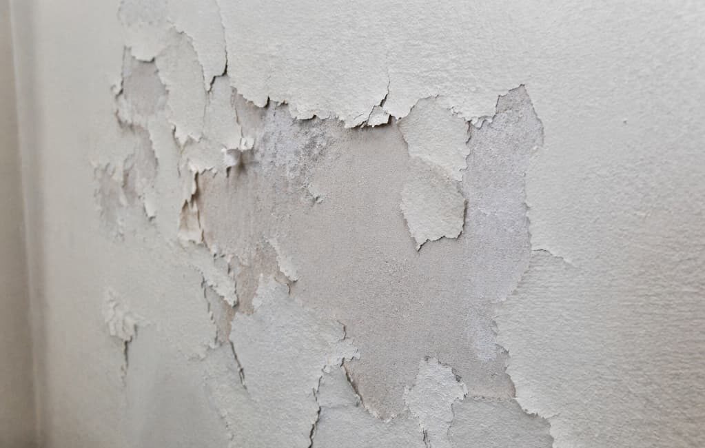 Dlaczego farba odchodzi od ściany mimo gruntowania